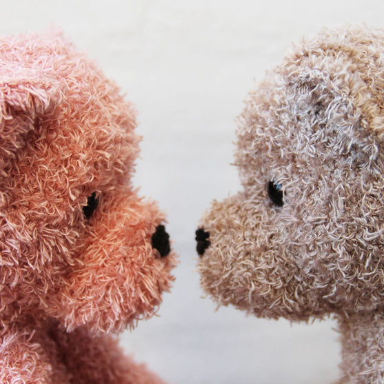 Teddy Family
3