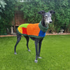 Wally - Dog Jumper
1