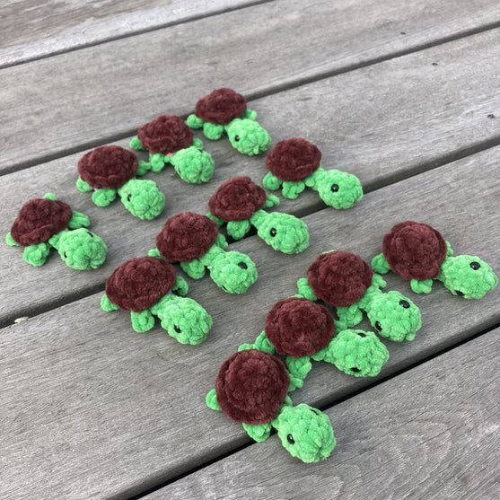 Rainbow Turtles - Memory Game
12