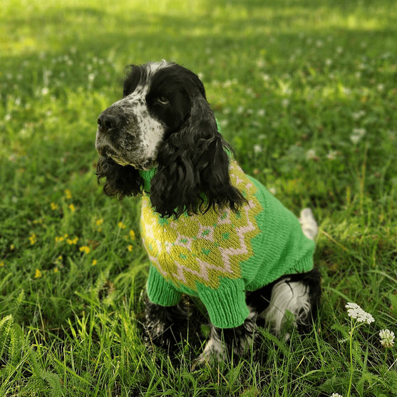 Cocker Spaniel - Dog Sweater
2