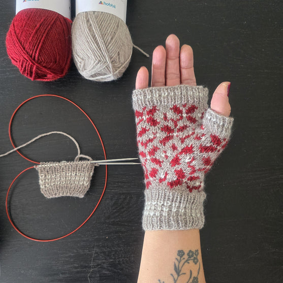 Mystery Garden - Mittens
4