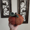 Embroidered Fall Pumpkin
3