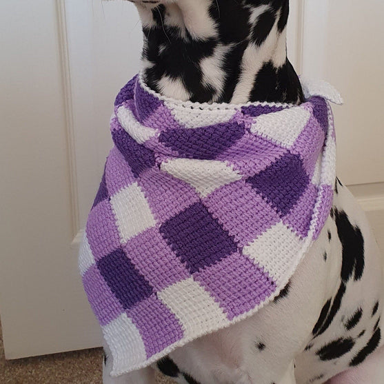 Summer Picnic - Foulard pour Chien
2