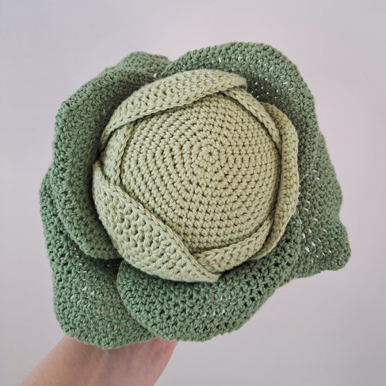 Légumes - Chou, carottes et courgette
3