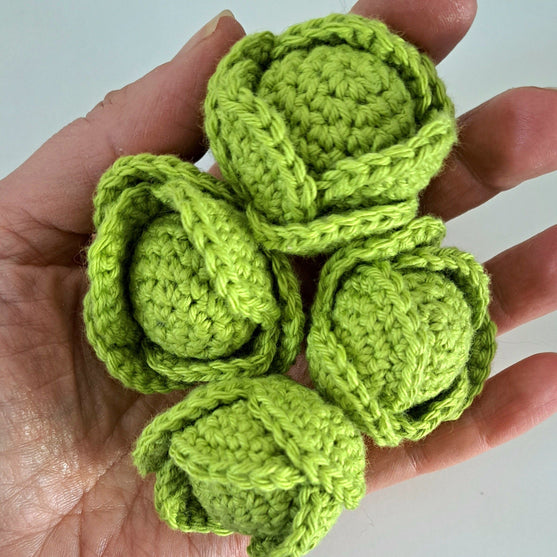 Poulet avec choux et pommes de terre
3