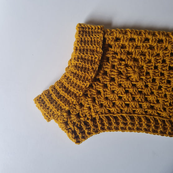 Wally - Pull pour Chien
7