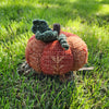 Embroidered Fall Pumpkin
2