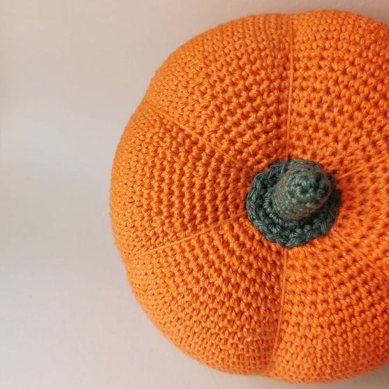 Pumpkin - Play Food
4