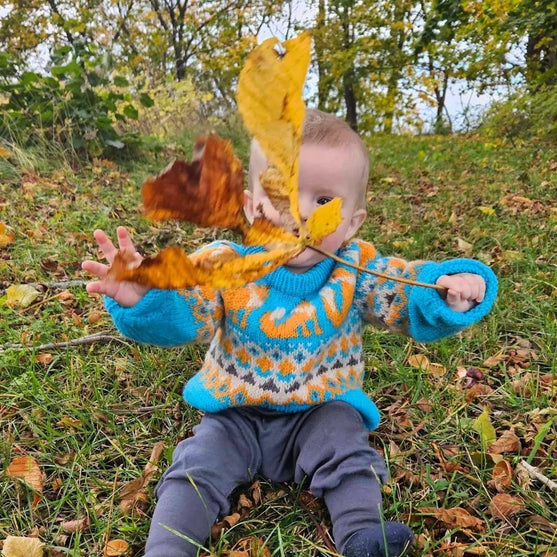 Happy Fox - Children’s sweater
2