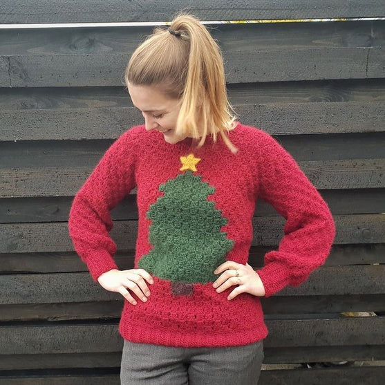 Pull de Noël Johanna
3