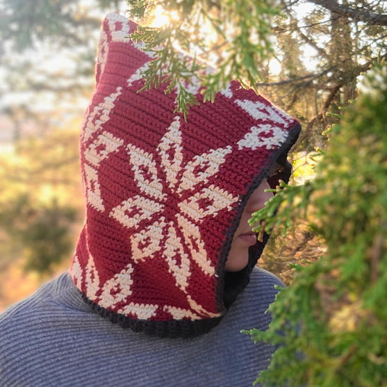 Winter Star - Hood
6