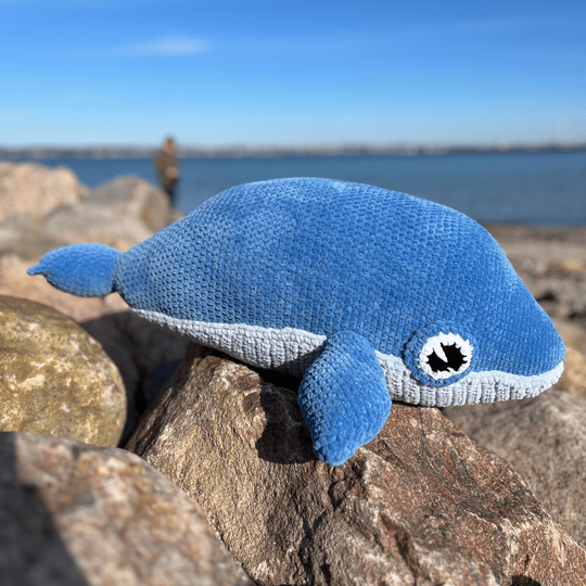Blue Whale