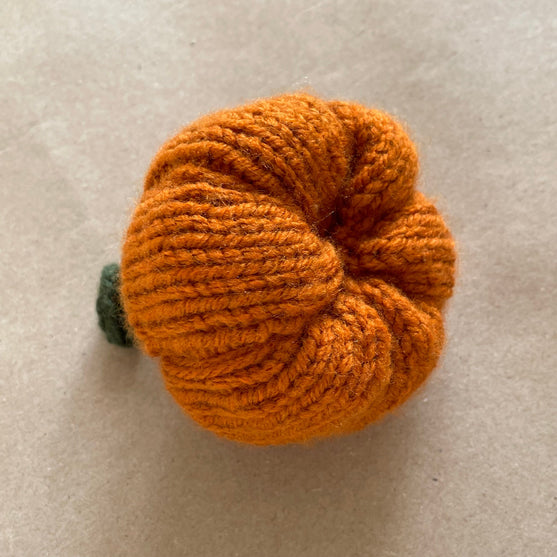 Mini-citrouilles - Petites courges de décoration
3