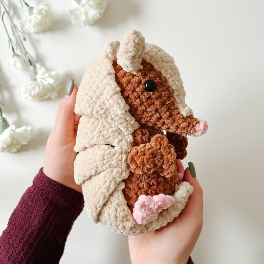 Armando Armadillo