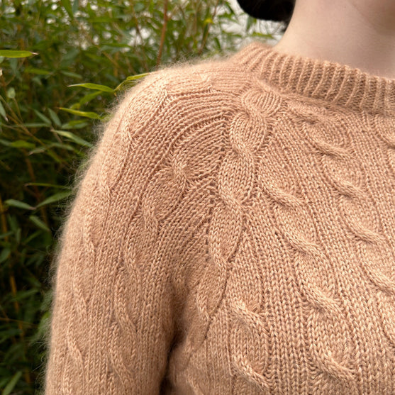 Auguste - Pull
3