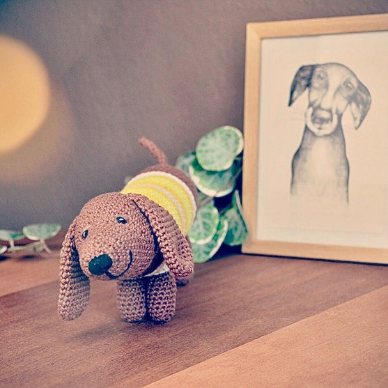 Dagobert Dachshund
3