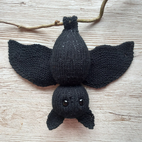 Bernard Chauve-souris
3