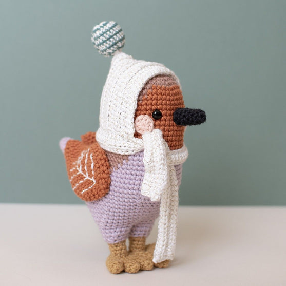 3e dimanche de l'Avent - Amigurumi - Grayson Robin
2