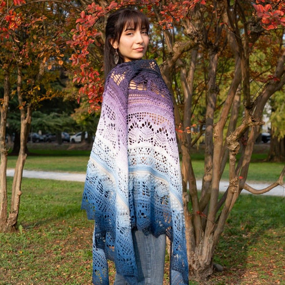 Frozen Iris - Shawl
15