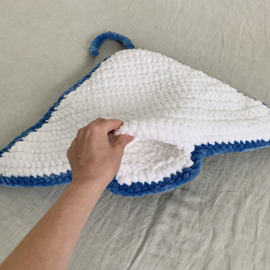 Ruby Ray the Mega Ray
6