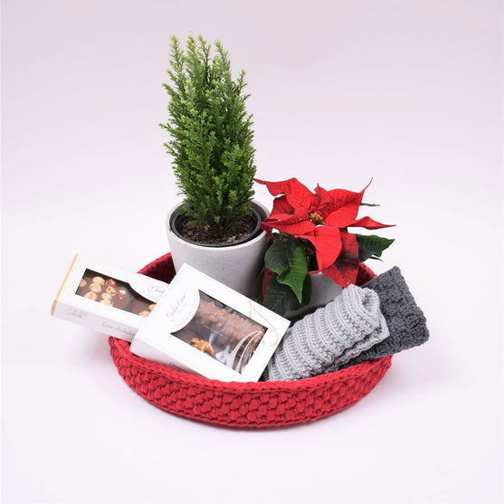 Corbeille décorative avec fond en cuir rond - Noël
6