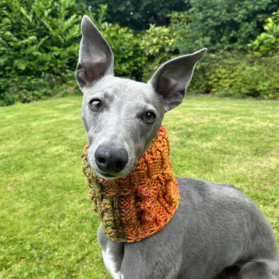 Doggy Bobble - Snood
1