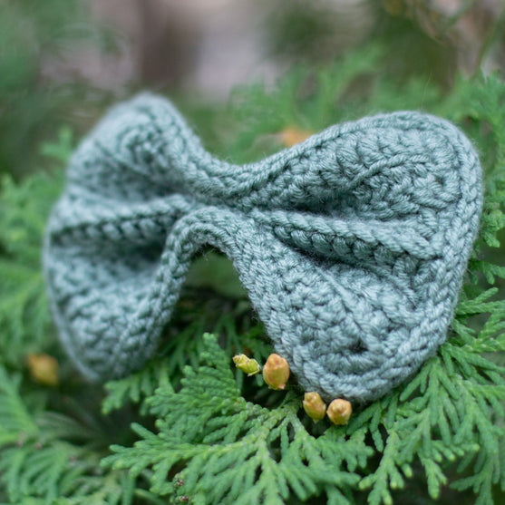 Wow Bow - Nœud Chien
5