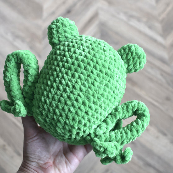 Splashy la grenouille
6