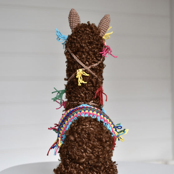 Pico the Alpaca
9