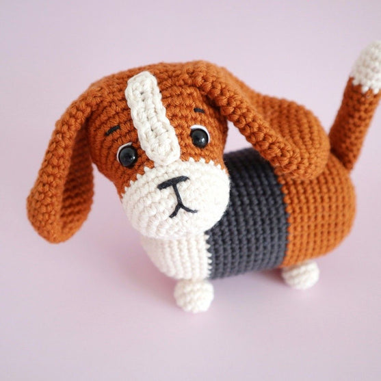 Gus the Basset Hound
4