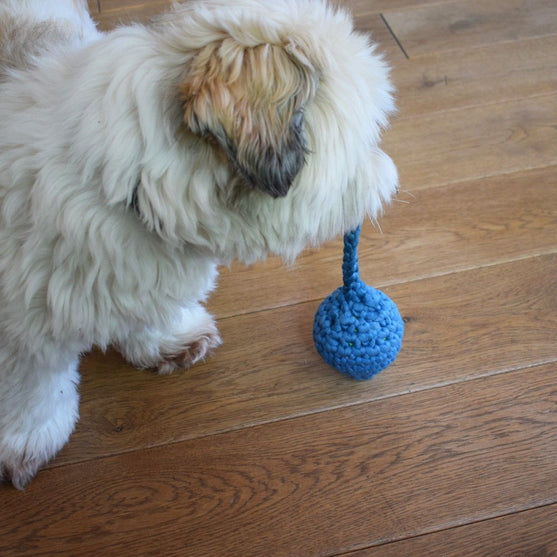 Têtard - Jouet pour chien
4