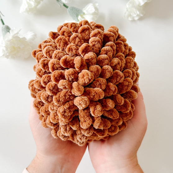 Herbie le Hérisson
4