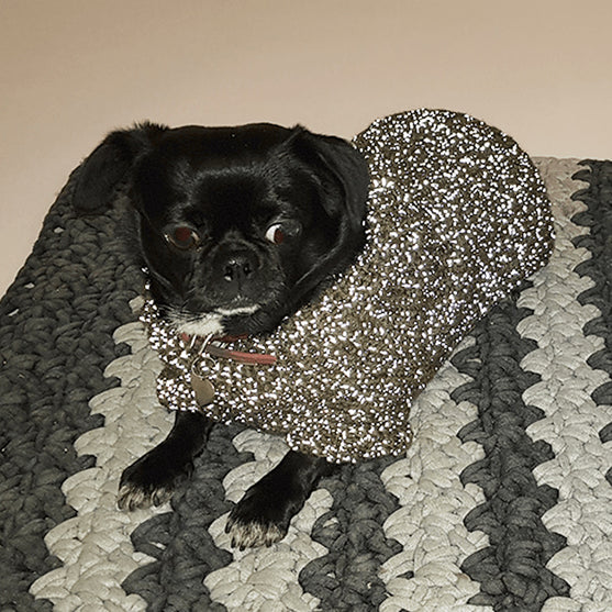 Flemming Dog Sweater
2