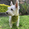 Cuddly Wrap - Dog’s Bandana
4