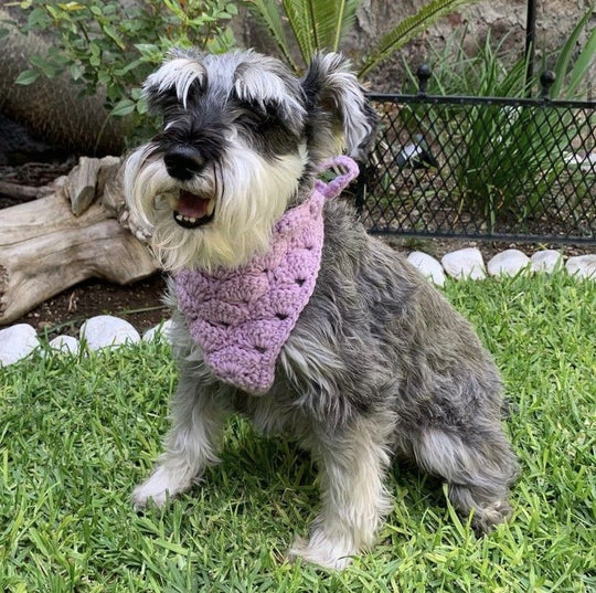 Cuddly Wrap - Bandana per cane