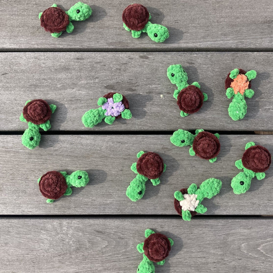 Rainbow Turtles - Memory Game
9