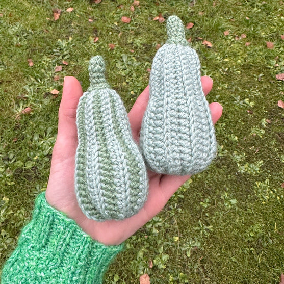 Courges ornementales - Longues
6