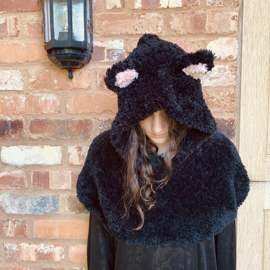 Hooded Cat - Capuche
2