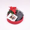 Decoration trays with round leather base - Christmas
7