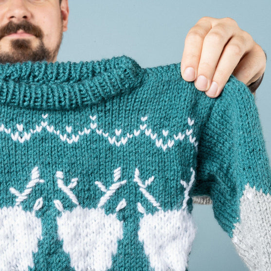 Julius Junior - Pull
4