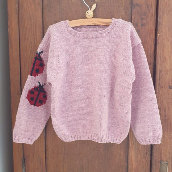 Ladybug - Pull Enfant
2