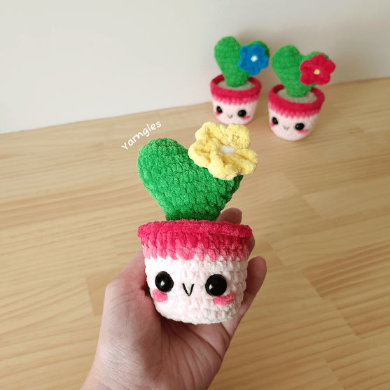 Lia The Tiny Heart Cactus
2