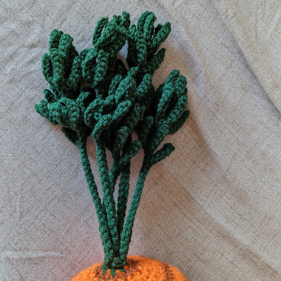 Big Carrot
4