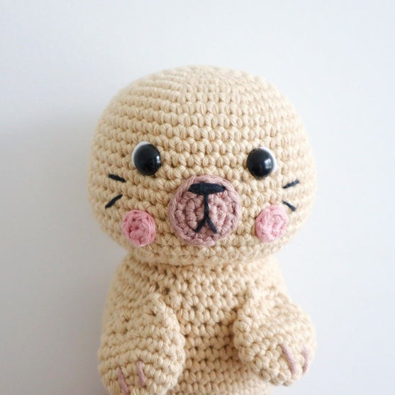 Sandy the Sea Lion
4