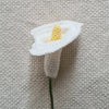 Calla Flower
3
