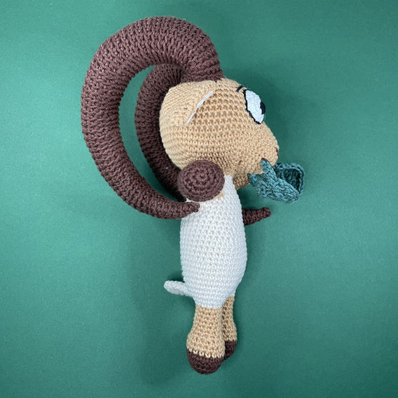 Bélier - Signe du Zodiaque
2