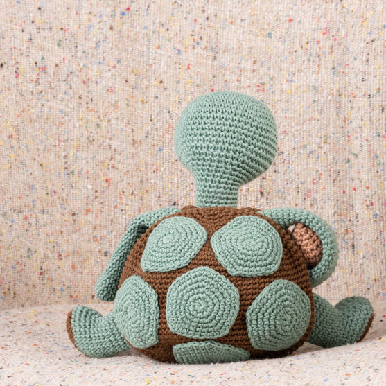 Theo the Turtle
3