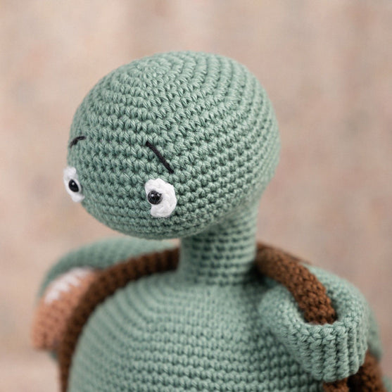 Theo the Turtle
5