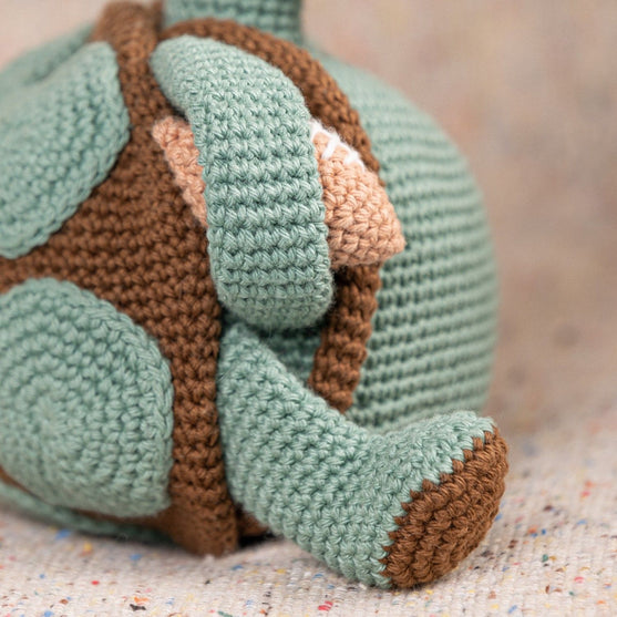 Theo the Turtle
7