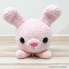 

Bella the Bunny
1
